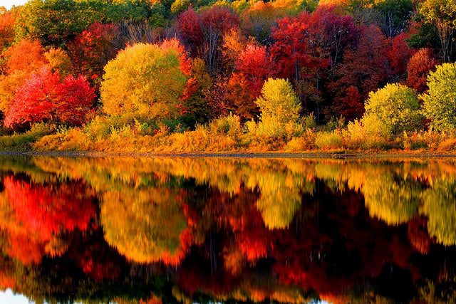 Awesome Things to Look Forward to This Fall