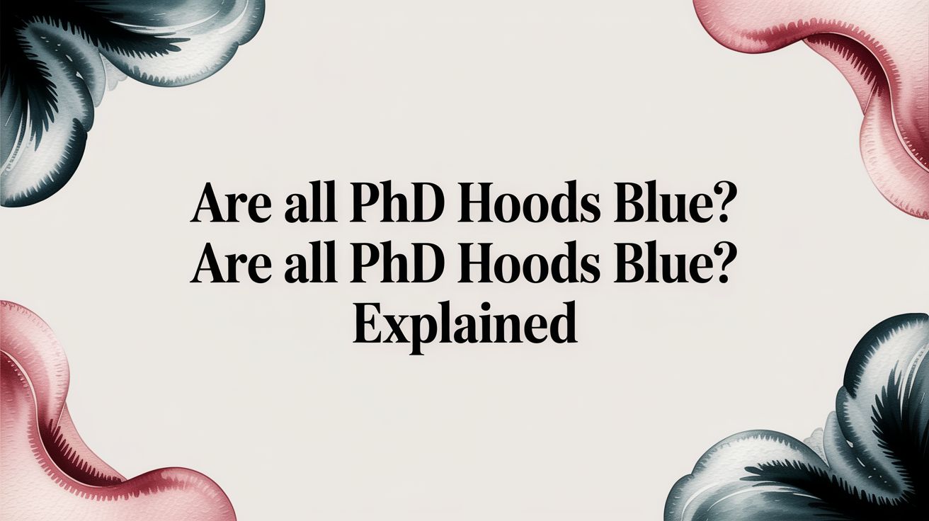 Are All PhD Hoods Blue? The Official Guide to Doctoral Regalia Colors