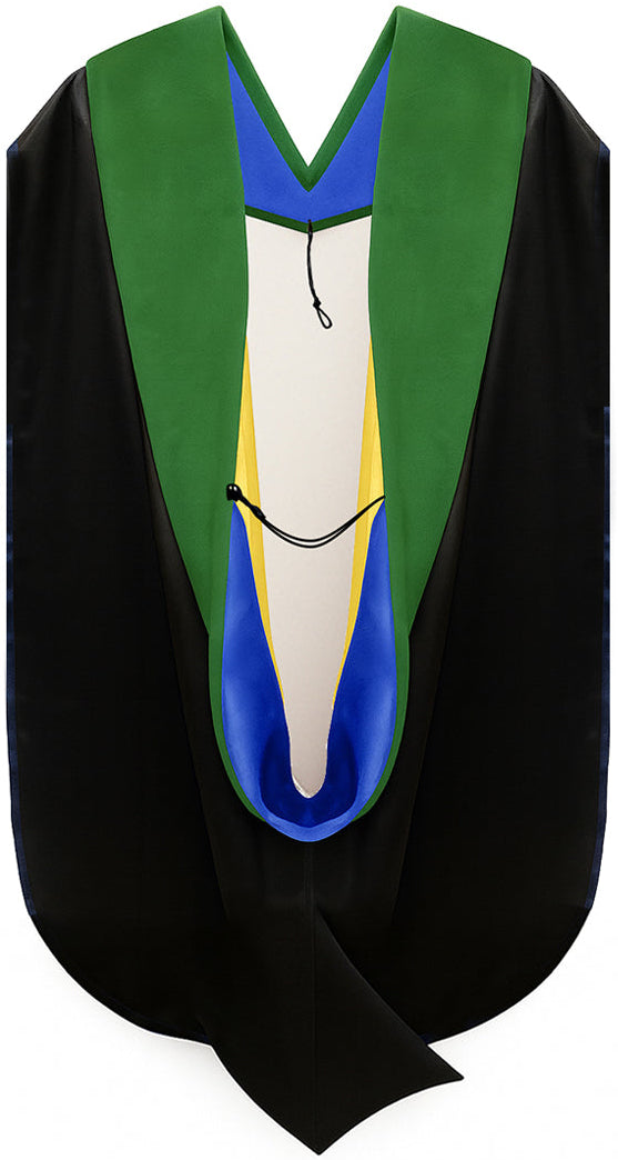Doctor of Medicine Hood - Royal Blue & Gold