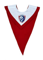 Custom Graduation V-Stoles