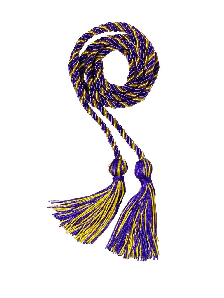 Purple and Gold Intertwined Elementary Honor Cord